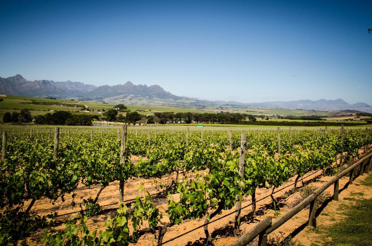 Lavinia Lifestyle Villa Stellenbosch Exterior photo